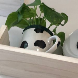 Meet your Posher, Vega